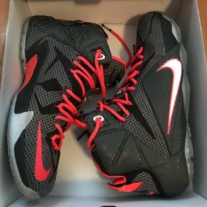 Lebron XII 12 Court Vision